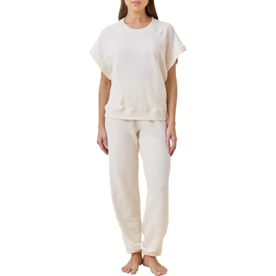 Papinelle Most Wanted Cotton Blend Top In Gray