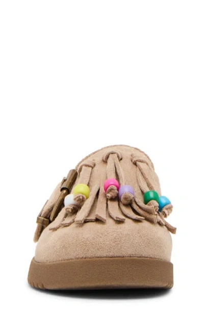 Steve Madden Ttreat Kiltie Clog In Brown