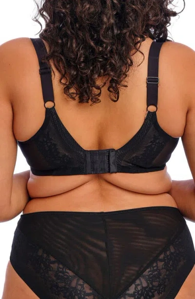 Elomi Women's Nerina Full-figure Underwire Plunge Bra El302734 In Black