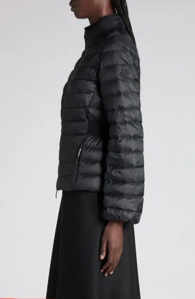 Moncler Polyamide Igelle Jacket High Collar Quilted In Black