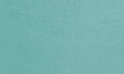 Natori Women's Bliss Bare Cotton Hipster Underwear 774346 In Green