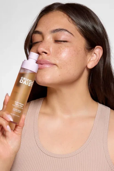 Crickle Daisy Enchanted Lavender Set