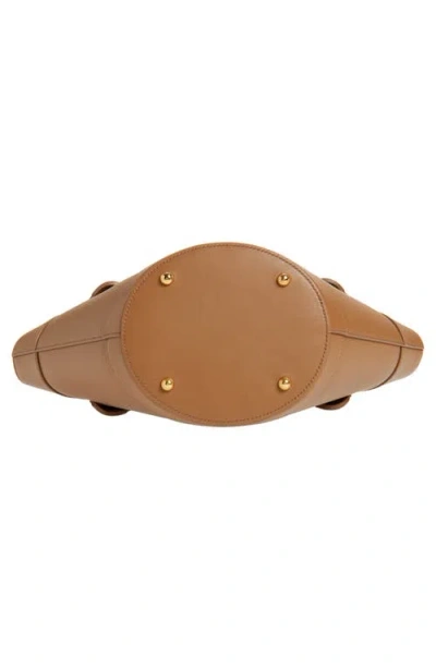 Dolce & Gabbana Brown Shoulder Bag With Two Top Handles And Buckle Closure On The Front In Brown