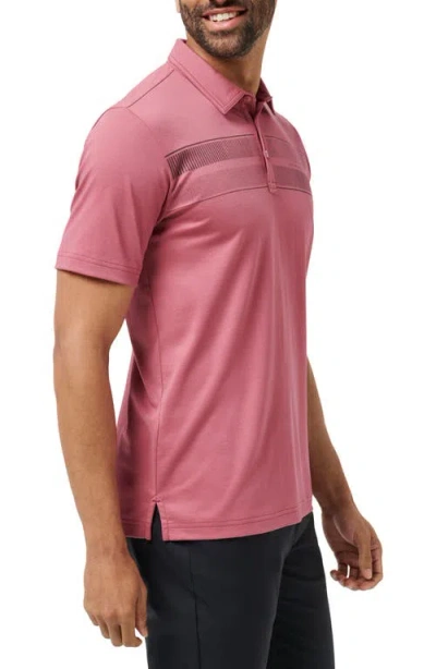 Travismathew Family Trip Polo In Purple