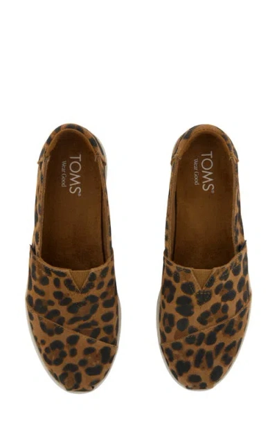 Toms Alpargata Plus Slip-on In Multi