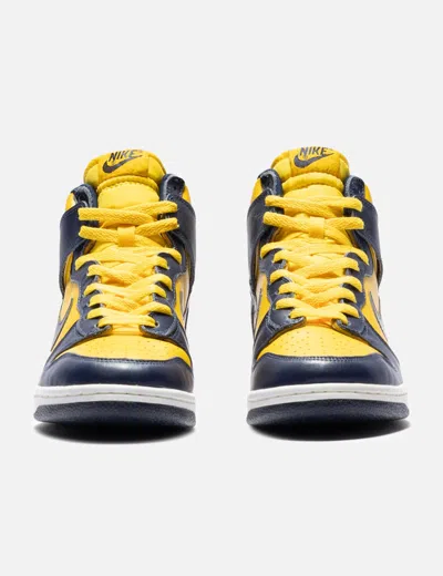 Nike Dunk High Michigan (2003)