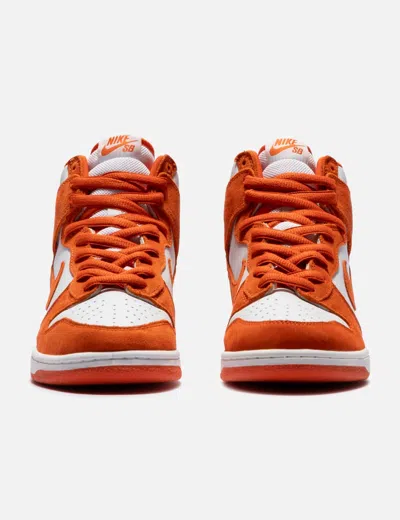 Nike Syracuse Dunk High Pro In White