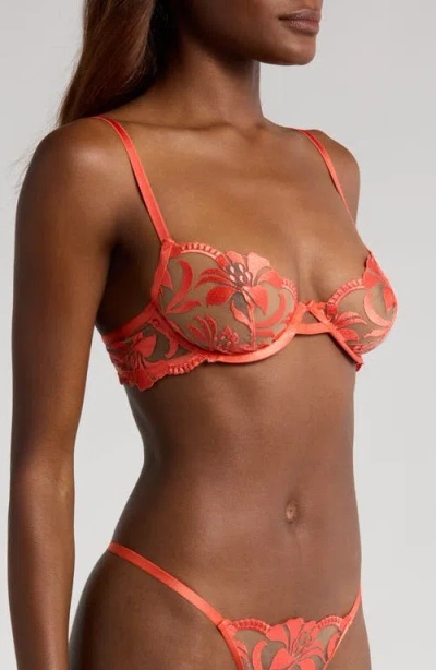 Bluebella Leonora Embroidered Mesh Underwire Bra