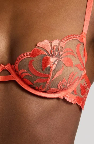 Bluebella Leonora Embroidered Mesh Underwire Bra