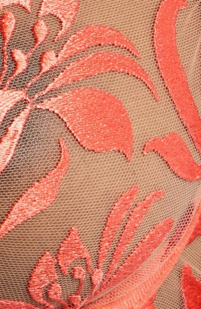 Bluebella Leonora Embroidered Mesh Underwire Bra