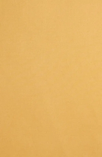 Parachute Set Of 2 Brushed Cotton Shams In Yellow