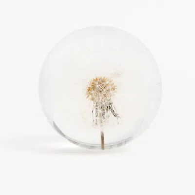 My Little Nature Neutrals Make A Wish Globe Ball Foy Yoga Lovers - Home Decoration - Natural Dandelion
