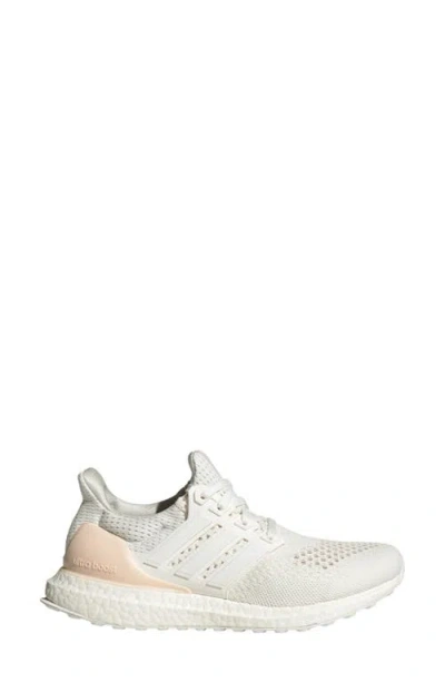 Adidas Originals Adidas Ultraboost 1.0 Running Sneaker
