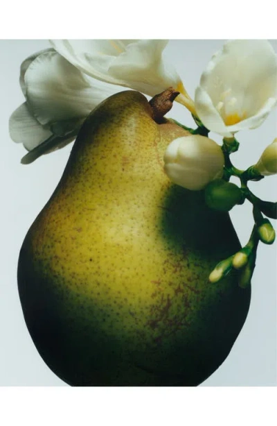 Jo Malone London ™ Jumbo English Pear & Freesia Body & Hand Wash