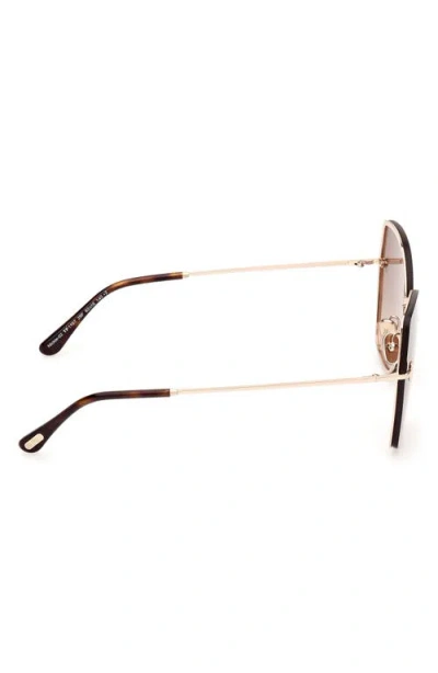 Tom Ford Nickie 62mm Oversize Gradient Butterfly Sunglasses