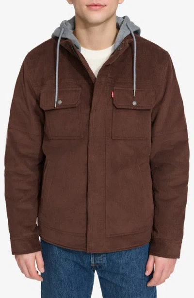 Levi's Hooded Corduroy Jacket In Brown