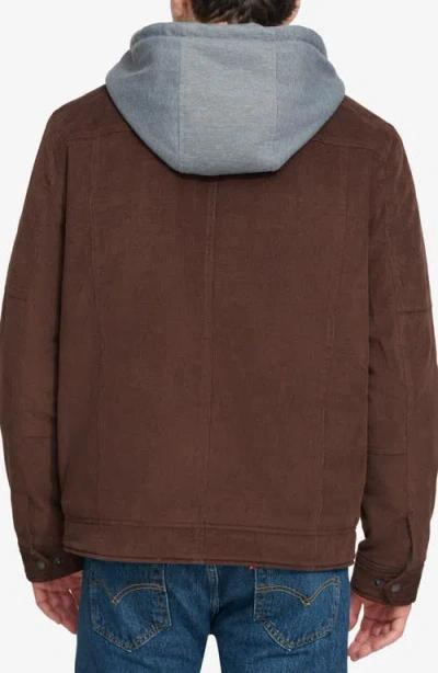 Levi's Hooded Corduroy Jacket In Brown