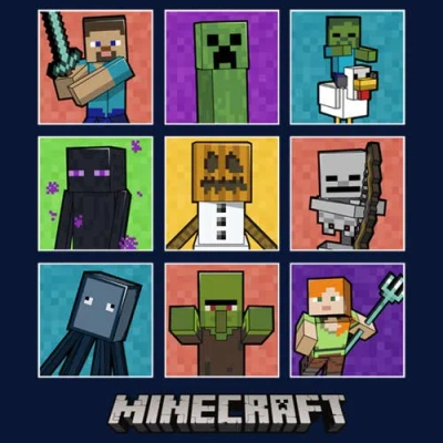 Minecraft Boy's  Character Boxes  Graphic T-shirt