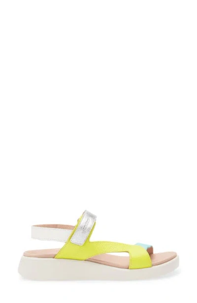 Wonders Colorblock Leather Sandal