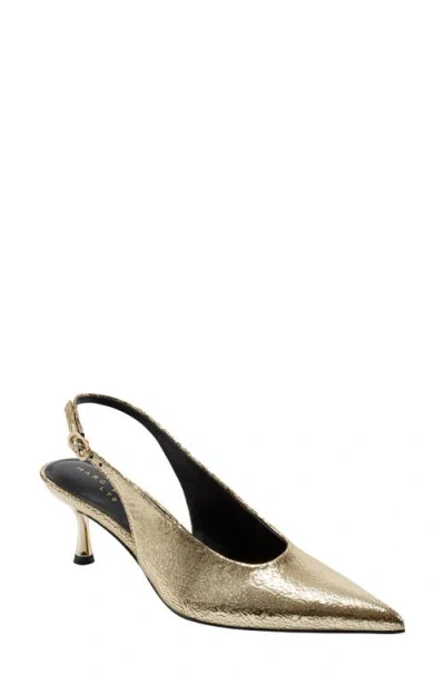 Marc Fisher Ltd Reynna Pointed Toe Slingback Pump