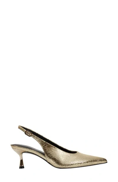 Marc Fisher Ltd Reynna Pointed Toe Slingback Pump