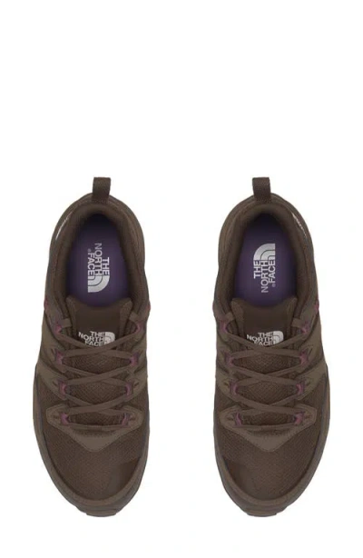 The North Face Hedgehog 3 Waterproof Hiking Sneaker