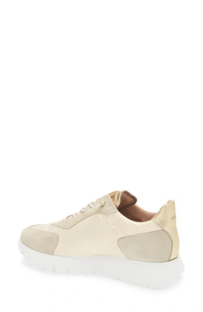 Wonders Oslo Sneaker