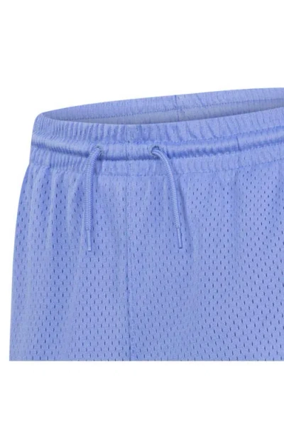 Jordan Dri-fit Big Kids' Baseline Mesh Shorts