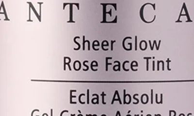 Chantecaille Sheer Glow Rose Duo $172 Value