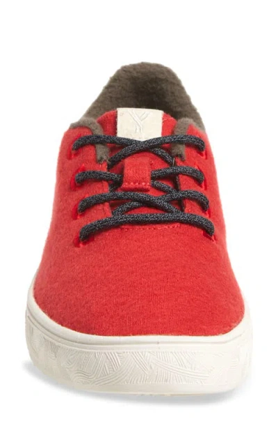 Yy Nation Cirro Wool Blend Water Resistant Low Top Sneaker