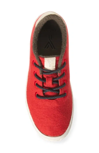 Yy Nation Cirro Wool Blend Water Resistant Low Top Sneaker