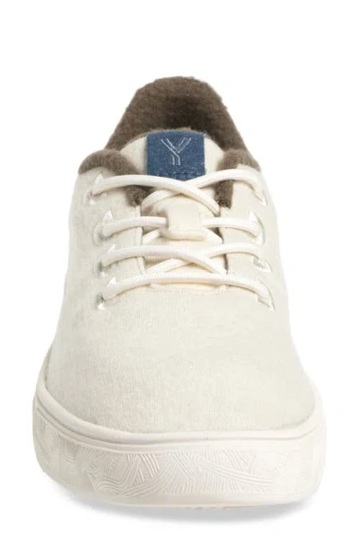 Yy Nation Cirro Wool Blend Water Resistant Low Top Sneaker
