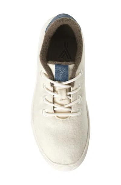 Yy Nation Cirro Wool Blend Water Resistant Low Top Sneaker