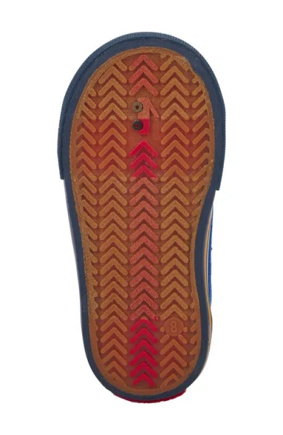 See Kai Run Tanner Sneaker In Blue