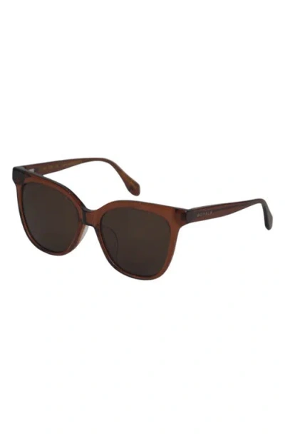 Mohala Eyewear Mahina 56mm Low Bridge Wide Width Polarized Cat Eye Sunglasses