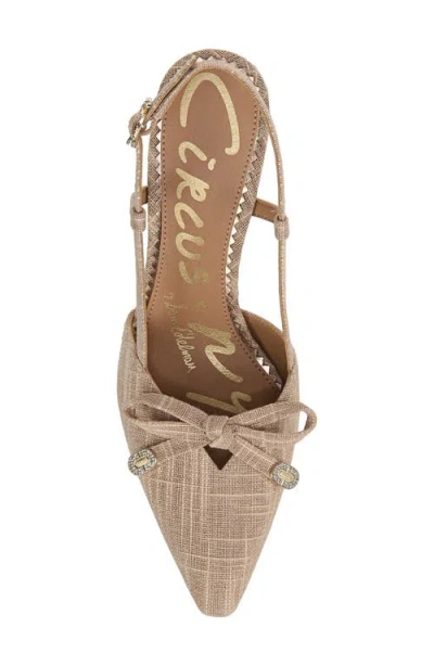 Circus Ny By Sam Edelman Monica Pointed Toe Slingback Pump