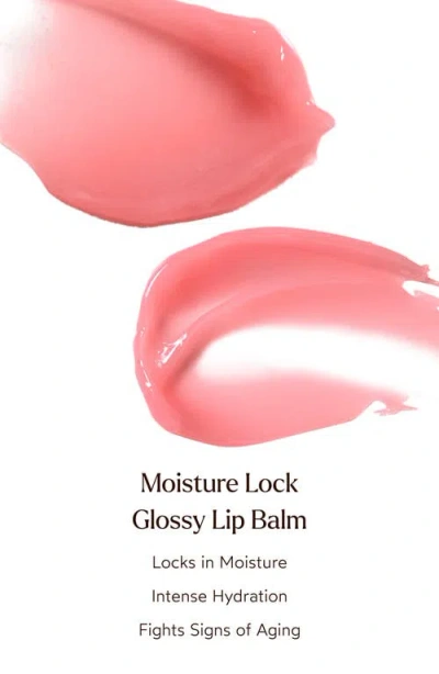 True Botanicals Moisture Lock Glossy Balm Duo $48 Value
