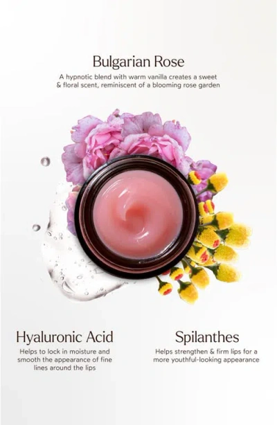 True Botanicals Moisture Lock Glossy Balm Duo $48 Value