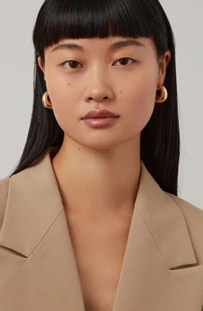 Jenny Bird Full Volume Hoop Earrings