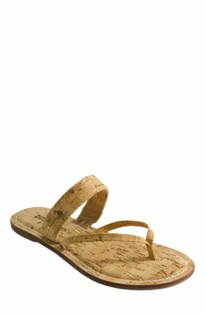 Bernardo Footwear Leia Thong Sandal