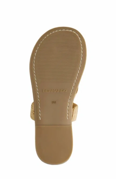 Bernardo Footwear Leia Thong Sandal