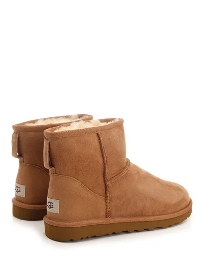 Ugg Biscuit Suede Classic Mini Ii Ankle Boots