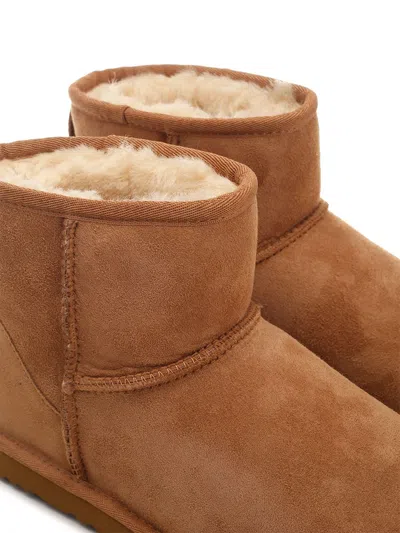 Ugg Biscuit Suede Classic Mini Ii Ankle Boots