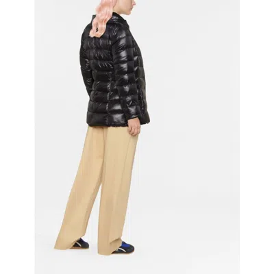 Herno Zip-up Padded Short Jacket In Black