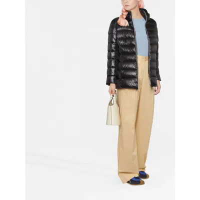 Herno Zip-up Padded Short Jacket In Black