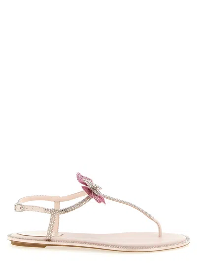 René Caovilla Rene Caovilla Fairy Pink Flat Sandal 10 In Neutral