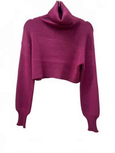 Aureum Women's Cropped Turtleneck Sweater In Magenta In Brown