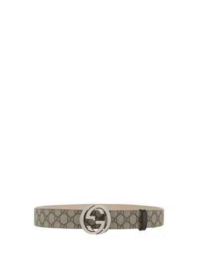 Gucci Belts E Braces