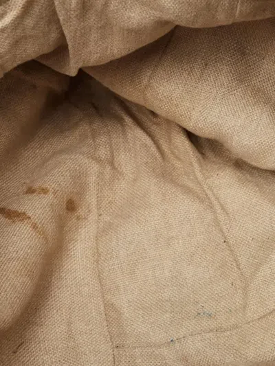 Pre-owned Gucci Gg Canvas Tote Bag