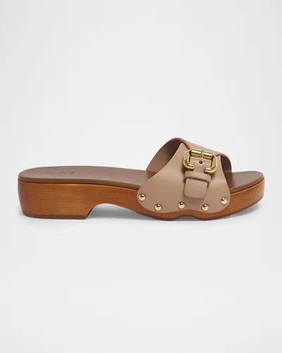 Chloé Jeannette Leather Buckle Clog Sandals In Brown